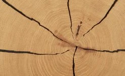 Wohnwert Standelement Novum | Anthrazit links -Komm Store 11225881 3 202112101235