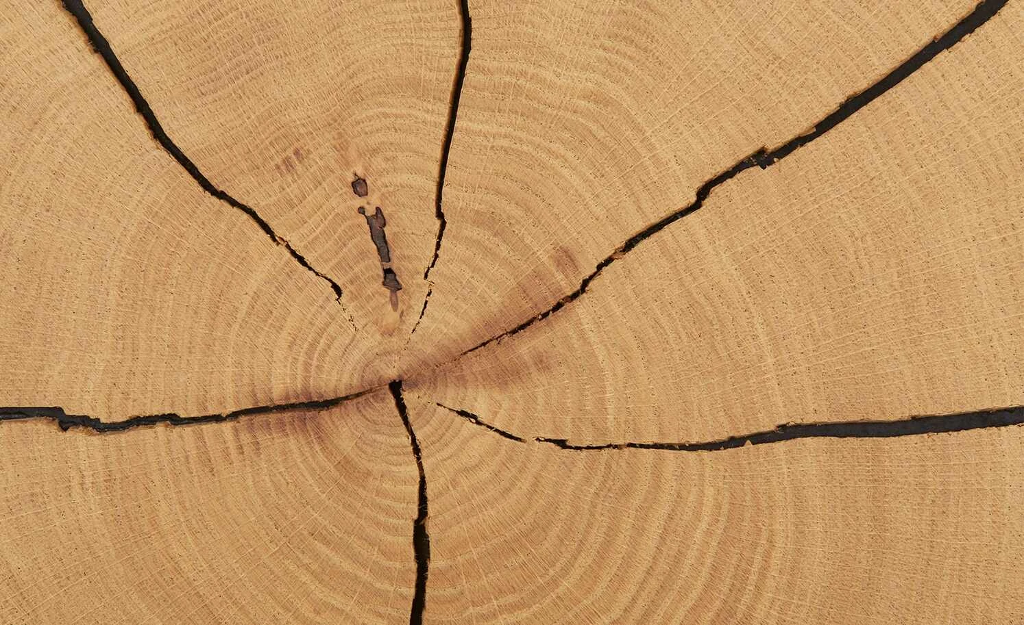 Wohnwert Standelement Novum | Weiß rechts 3 Wohnwert Standelement Novum | Weiß rechts – Bild 3