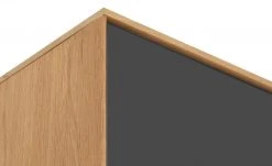 Wohnwert Standelement Novum | Anthrazit rechts 30 Wohnwert Standelement Novum | Anthrazit rechts -Komm Store 11229273 13 202201131238