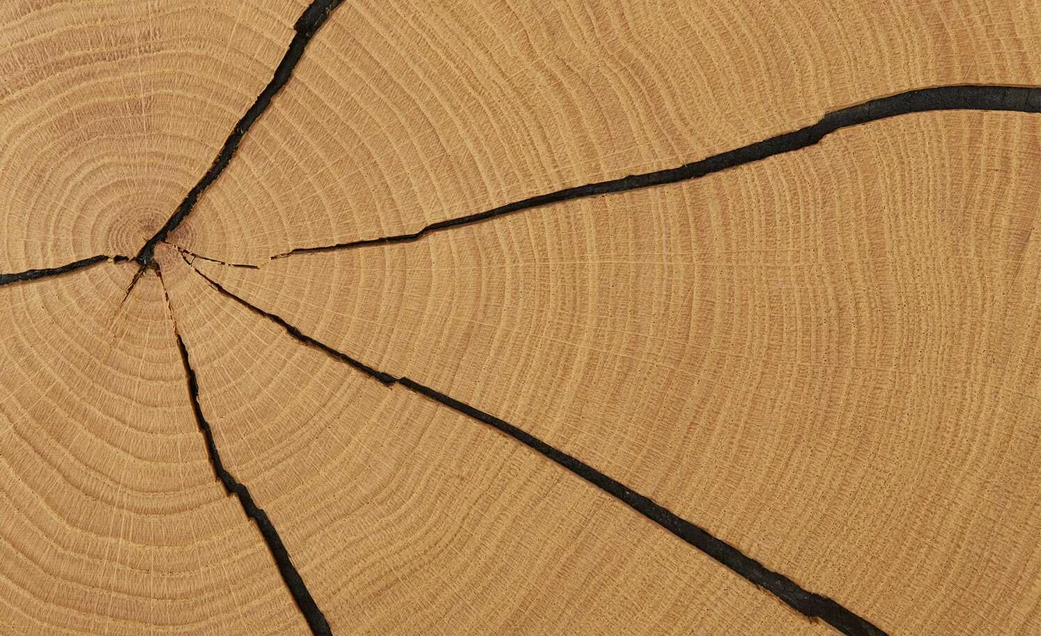 Wohnwert Standelement Novum | Anthrazit rechts 15 Wohnwert Standelement Novum | Anthrazit rechts – Bild 15