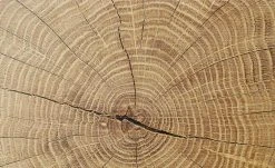 Sideboard Cortina | Weiß/ Eiche Altholz (Nachbildung) -Komm Store 12203596 8 202106232232