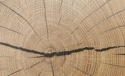 Hängevitrine Cortina | Weiß / Eiche Altholz (Nachbildung) -Komm Store 12204470 11 202106281241