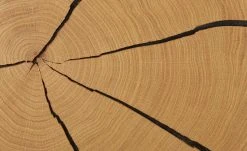 Wohnwert Standelement Novum | Anthrazit links -Komm Store 13200046 11 202112101235