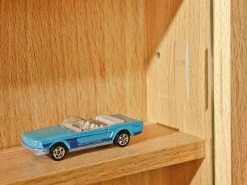 Sammler-Vitrine Acquario | Buche -Komm Store 13206141 3 202110291259