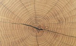 Sideboard Cortina | Eiche Altholz (Nachbildung ) / Schwarz -Komm Store 13207048 8 202209212234