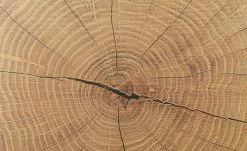 Hängevitrine Cortina | Schwarz / Eiche Altholz (Nachbildung) -Komm Store 13207052 12 202206291057