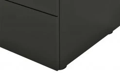 Berger & Rath Vitrine Claro | Anthrazit Sichtbare Rückwand: Wildeiche ohne Glaseinlegeböden -Komm Store 13232079 5 202108192240