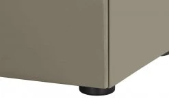 Berger & Rath Vitrine Claro | Londra (Hellgrau) Sichtbare Rückwand: Natureiche Bianco mit Glaseinlegeböden -Komm Store 13232080 7 202108130002