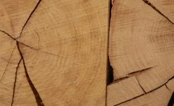 TV-Lowboard Enego 17 TV-Lowboard Enego -Komm Store 13345987 2 202004172241