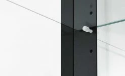 Vitrine, 2-türig Filaga | Schwarz -Komm Store 13346798 6 202102102232